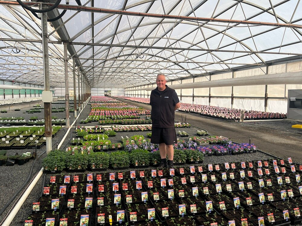 Huge demand for vegetable seedlings
