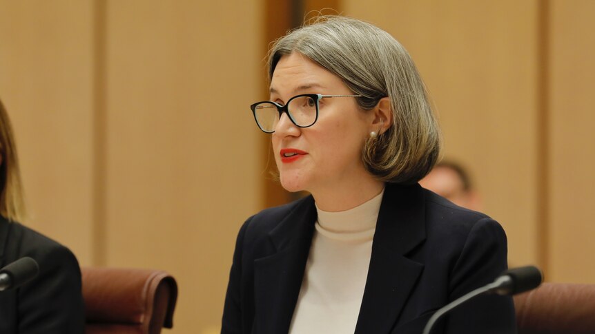 A woman speaking in front of a microphone.