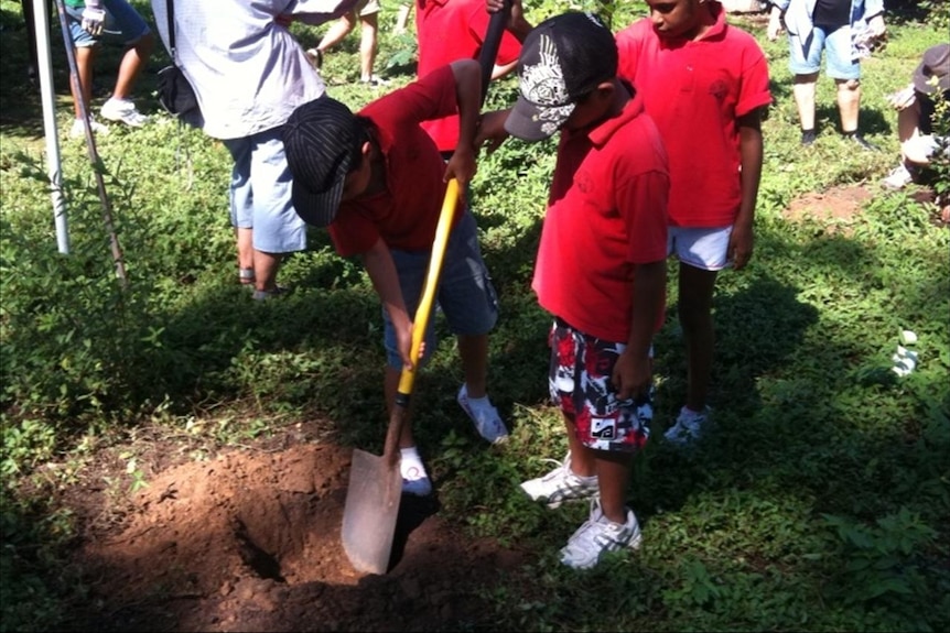 Alawa students plant trees