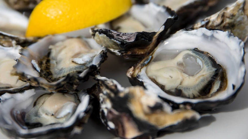 Oysters on a plate with lemon