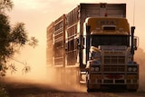A large truck drives along a dirt road.