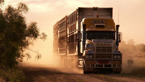 A large truck drives along a dirt road.