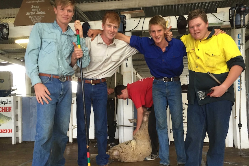 Four high school students stand on the shearing boards smiling at the camera while another youngster shears a sheep