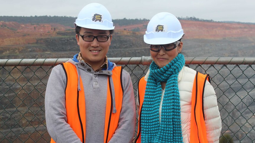 A man and a woman wearing hard hats stand in front of a gold mine pit.
