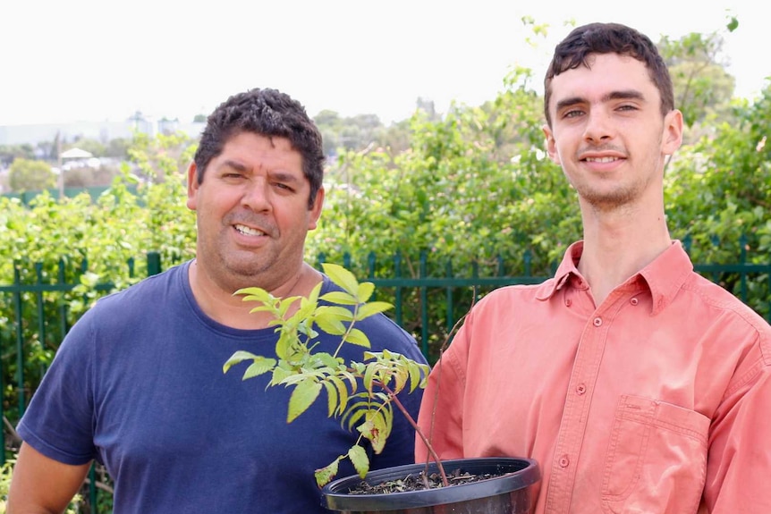 Indigenous men in bush food business