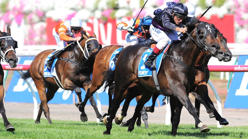 Damien Oliver and Fiorente win Australian Cup