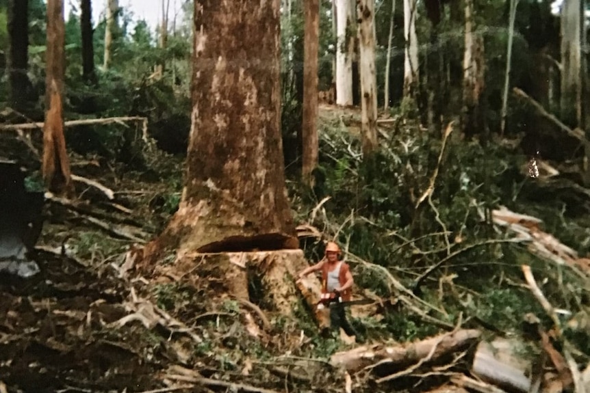 A man stands at the base of a very large tree.