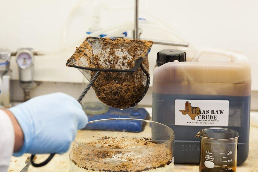 A polymer developed by researchers to help clean up oil spills