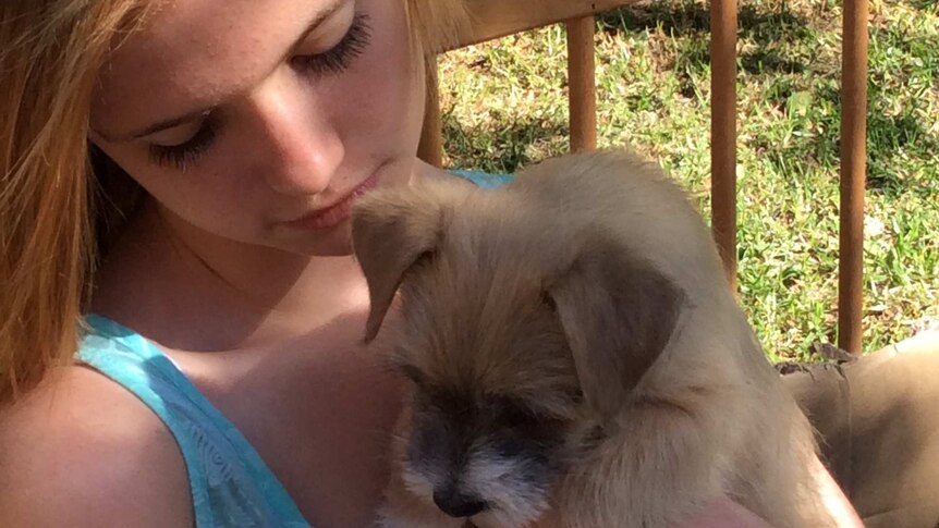 Tess Ryan looks at her puppy Leo