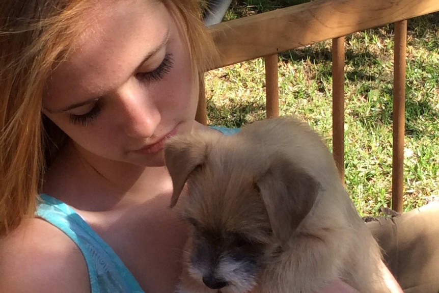 Tess Ryan looks at her puppy Leo