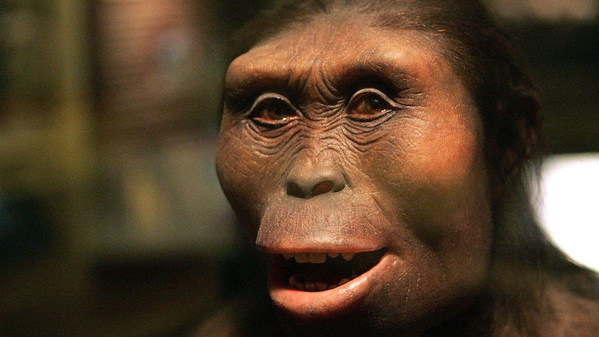 A close up of the face of a sculpture of an early human