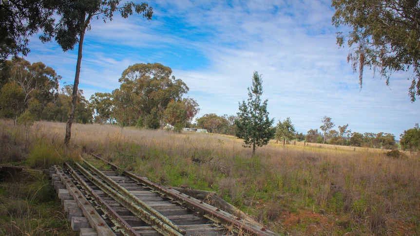 A disused rail line in country NSW