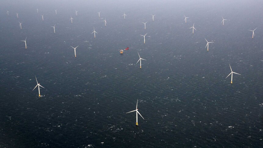 Wind turbines in a foggy sea