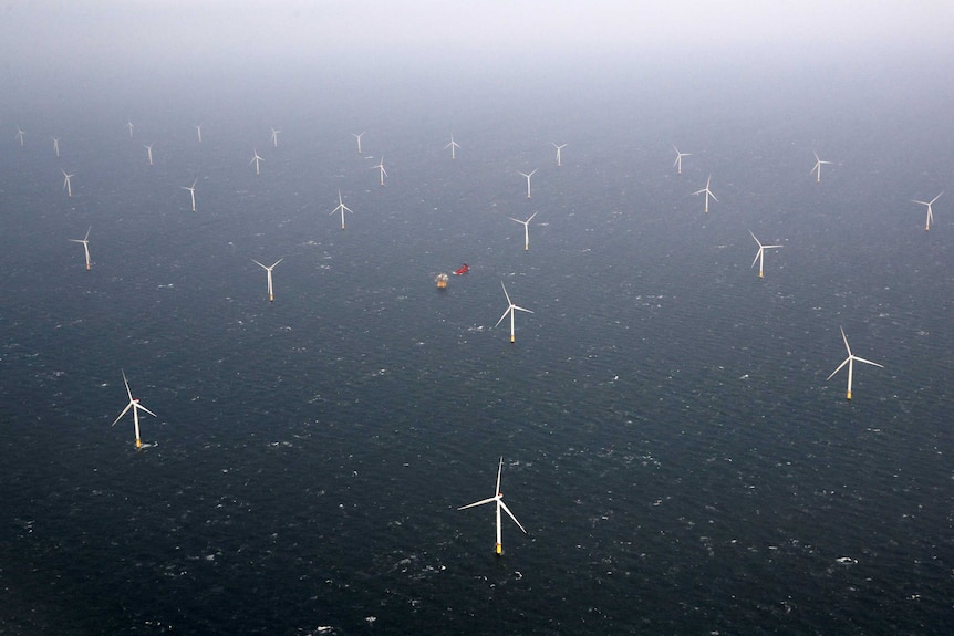 Wind turbines in a foggy sea