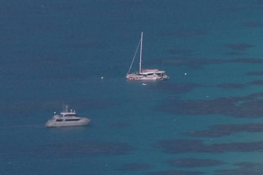 A Passions of Paradise boat at Michaelmas Cay, where two French tourists died.