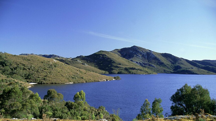a photograph of lake pedder and surrounding green landscape