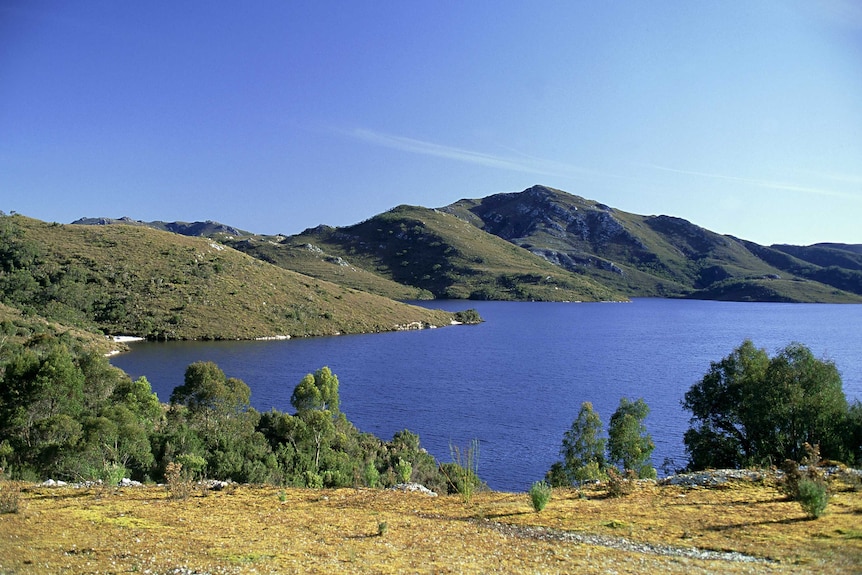 a photograph of lake pedder and surrounding green landscape