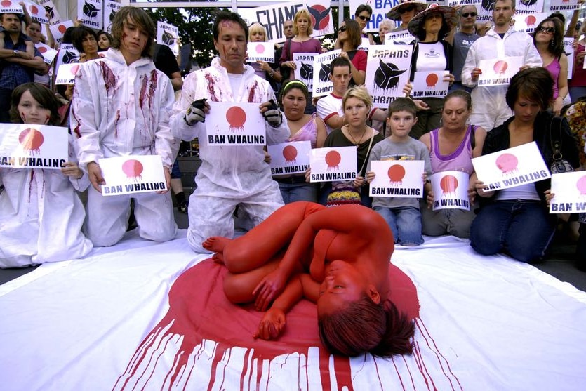 Anti-whaling protesters gather outside the Japanese consulate in Melbourne