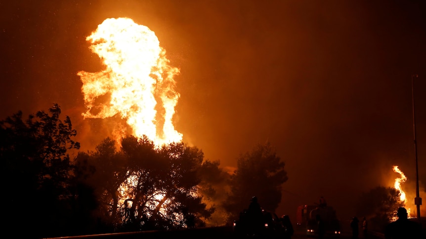 A night shot of huge yellow flames burning above trees in charred forest