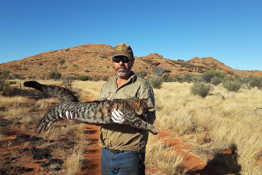 A ranger holding a large feral cat in his arms. The cat is very large. The ranger is wearing sunglasses.