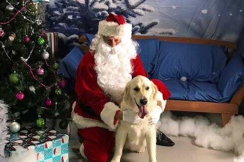 Geoff Provest MP posing as Santa for Christmas photo with pet labrador
