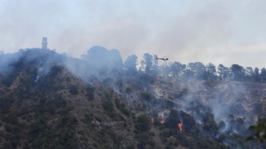 A slope with trees, patches of fire, smoke rising with a helicoper
