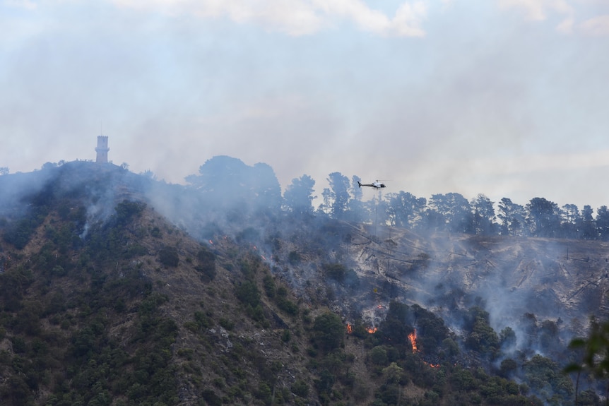 A slope with trees, patches of fire, smoke rising with a helicoper