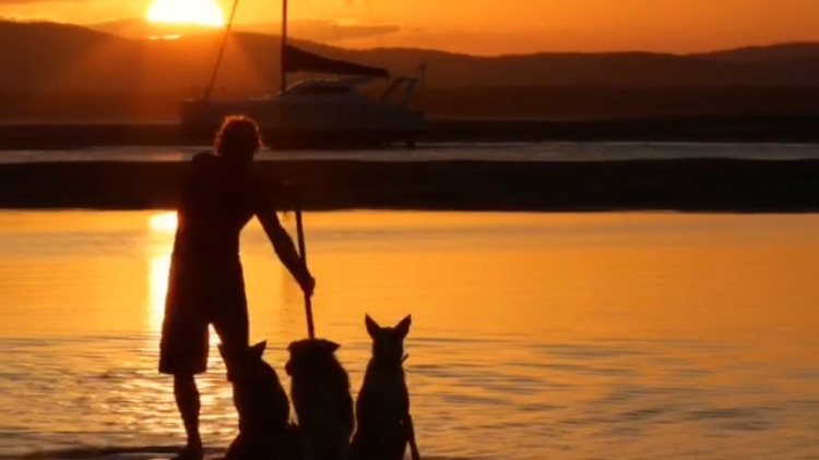three dogs and man paddle boarding at sun set
