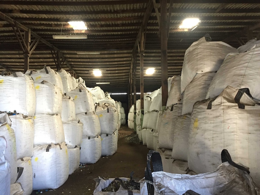 A glass warehouse with piles of white bags, each filled with shards of glass.