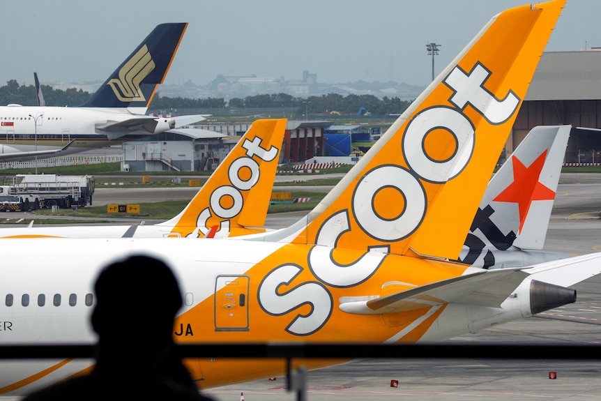 Scoot plane wing seen from an airport terminal 