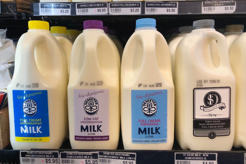 A row of milk cartons in a supermarket fridge.