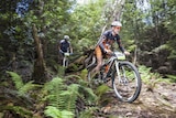 Mountain bike riders ride through Tasmanian forests