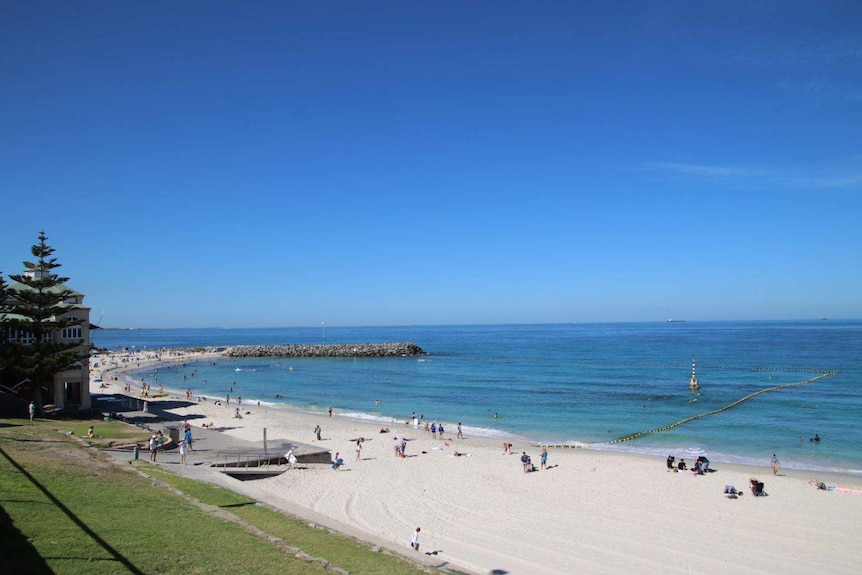 Cottesloe Beach with the shark barrier visible.