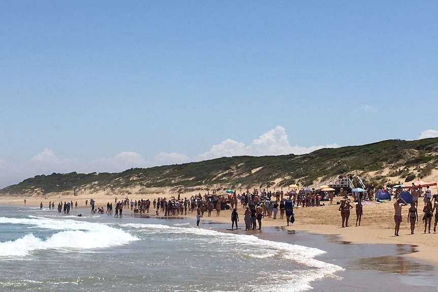 Shark sighting at Point Lonsdale