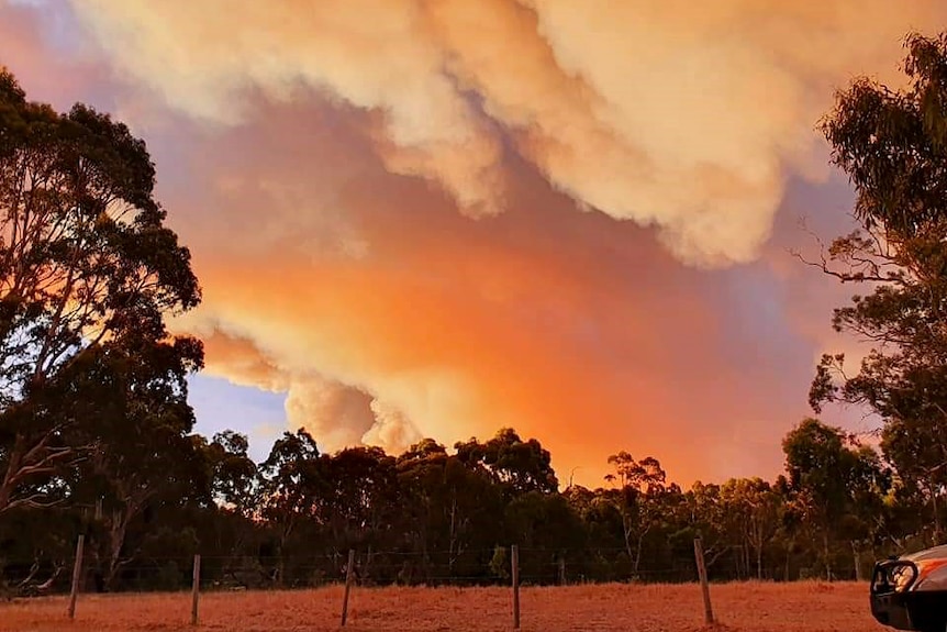 A plume of bushfire smoke glows ahead of sunset