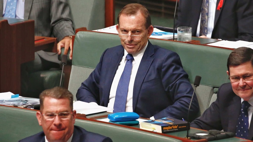 Tony Abbott seated in parliament
