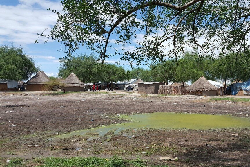 An African village with circular huts with a puddle in the foreground and trees behind.