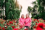 Two blonde women in pink shirts stand among red and white roses, with petals falling around them.