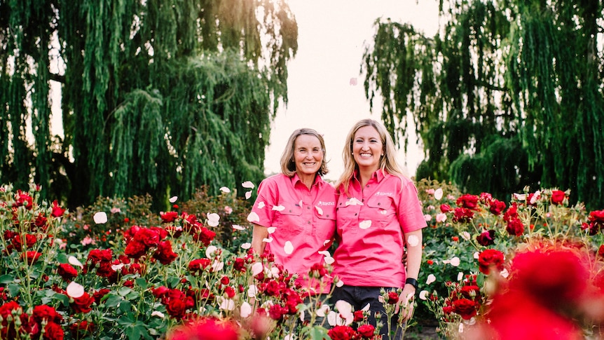 Two blonde women in pink shirts stand among red and white roses, with petals falling around them.