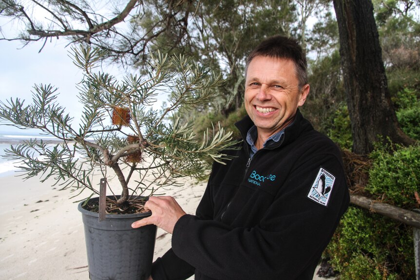 A man smiles while standing on a beach holding a pot that contains a small banksia tree.