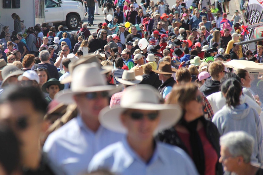 Crowds at the Ekka