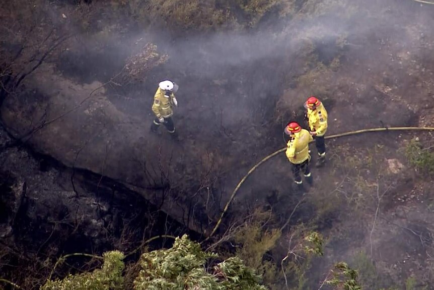 Firefighters at the scene of a bushfire
