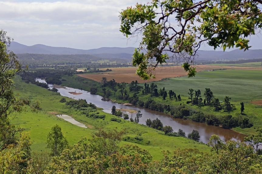 Clarence River from lookout
