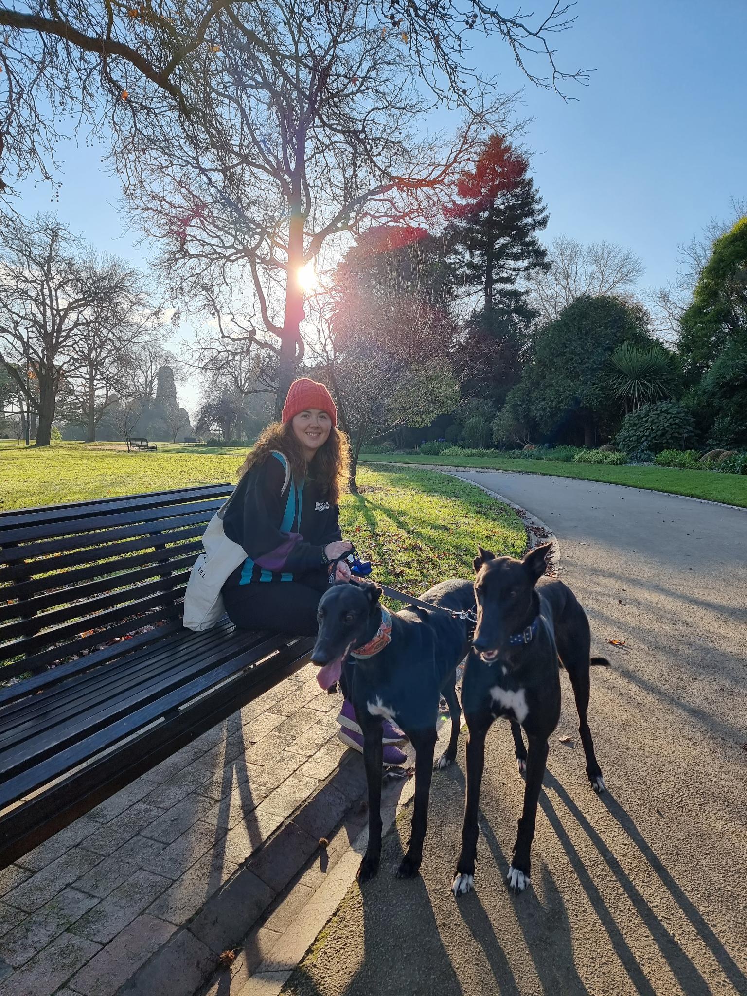 A woman sits on a park bench, with two greyhounds by her feet. A grassed area and large tree are behind her.