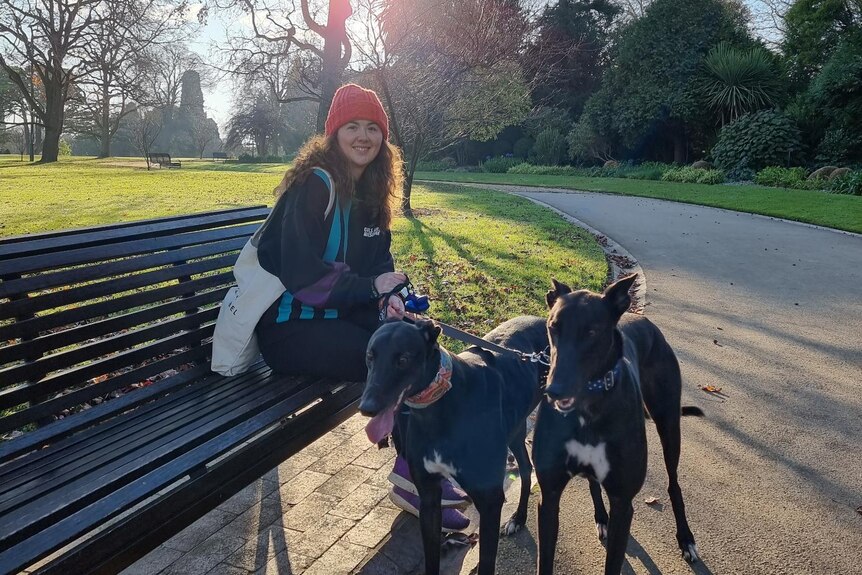 A woman sits on a park bench, with two greyhounds by her feet. A grassed area and large tree are behind her.