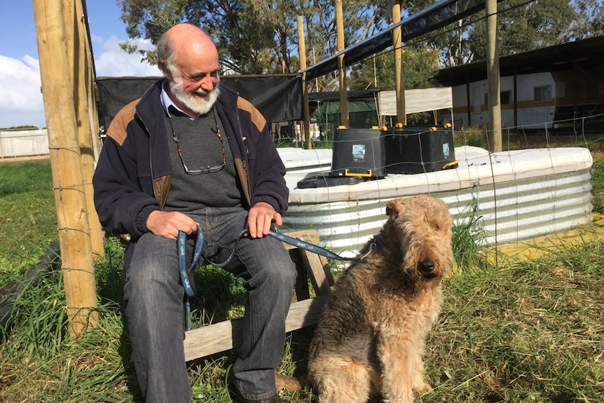 Scientist sitting with his dog at a dung beetle breeding facility in Strathalbyn