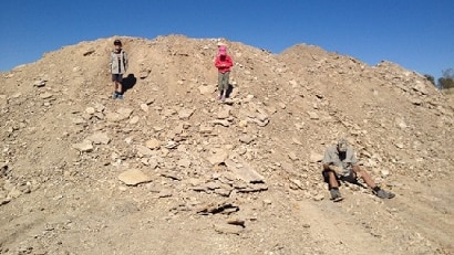 One the other side of the mound, the family found Wilson.