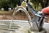 Water flows from a drinking fountain.