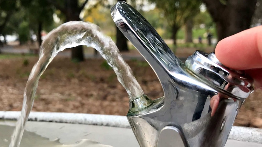 Should you be drinking water from a water bubbler? We ask the experts