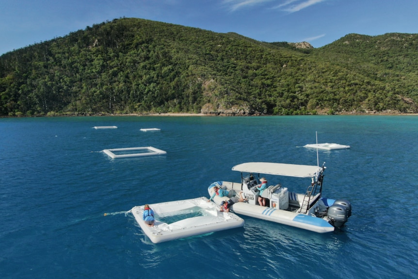 five white square structures float on top of the blue water with an island in the background